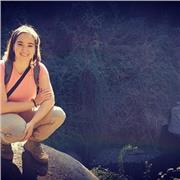 Clases efectivas de todas las asignaturas de Primaria a Bachillerato